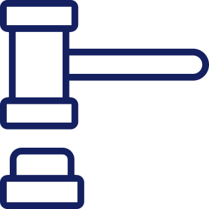 prozessfuehrungicon